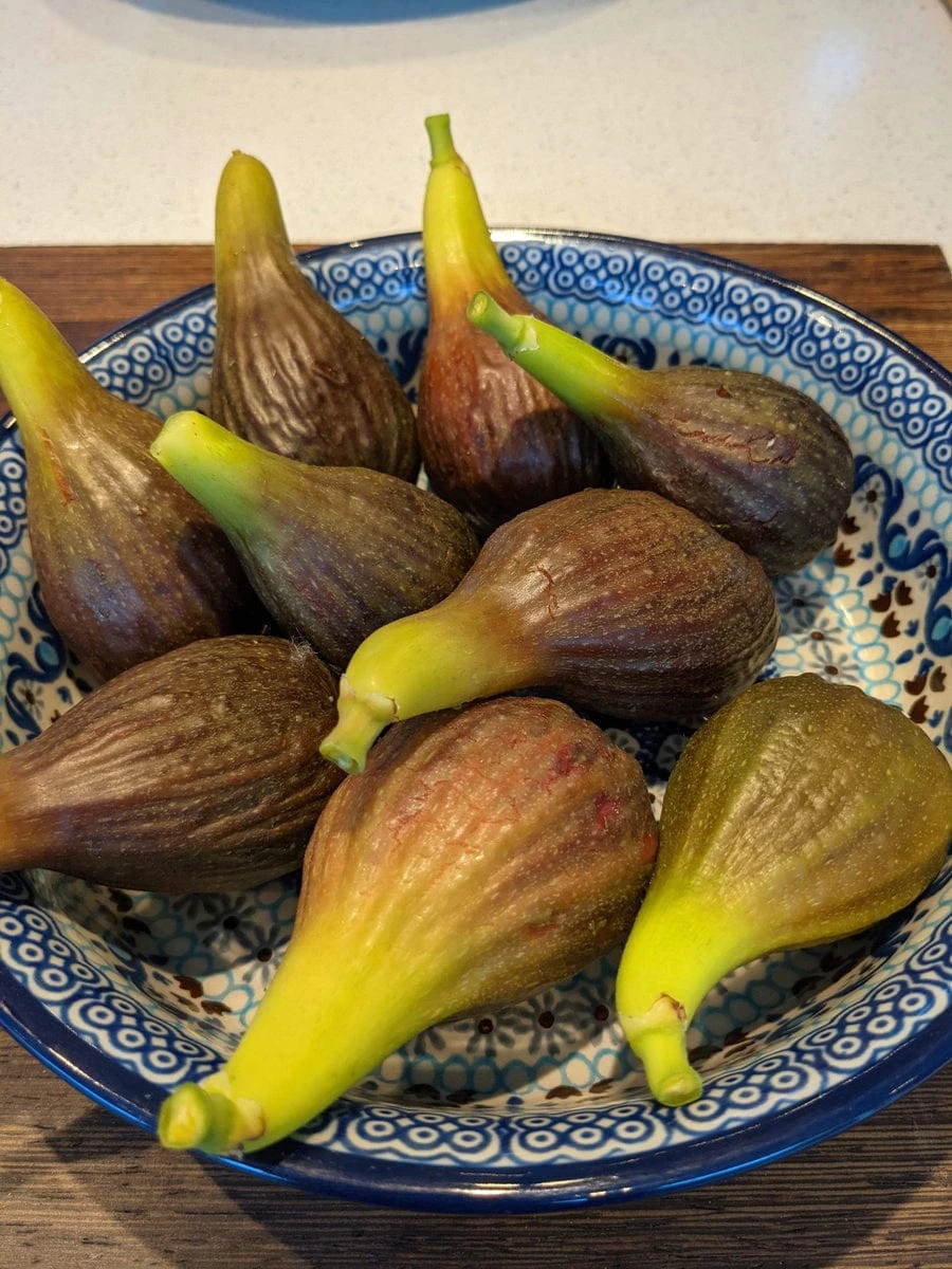 The 3 Best Fruit Trees For Small Gardens | Apple, Cherry & Fig - Image 5