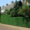 Fast Growing Evergreen Hedging Wildlife Mix | Growers' Choice